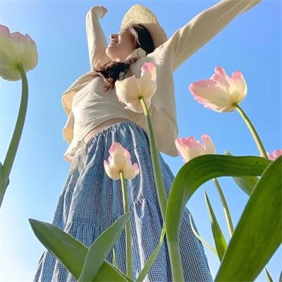 战略特勤组海报